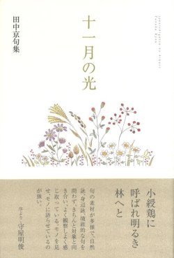 画像1: 田中京句集『十一月の光』（じゅういちがつのひかり）