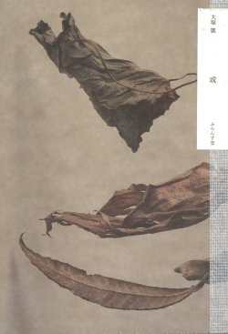 画像1: 【予約受付中】大塚凱句集『或』（ある）