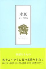 画像: 対中いずみ句集『水瓶』（みずがめ）