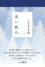 画像: 辻内京子句集『遠い眺め』（とおいながめ）