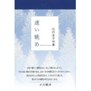 画像: 辻内京子句集『遠い眺め』（とおいながめ）