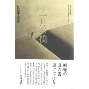 画像: 杉原祐之句集『十一月の橋』（じゅういちがつのはし）