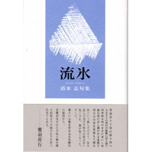 画像: 清水志句集『流氷』（りゅうひょう）【品切れ】