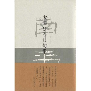 画像: 大沢ひろし句集『南平』