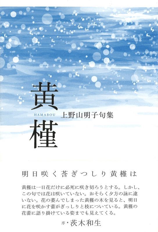 上野山明子句集『黄槿』（はまぼう） - ふらんす堂オンラインショップ