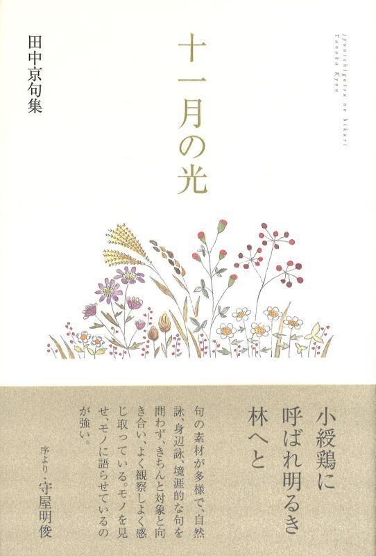 画像1: 田中京句集『十一月の光』（じゅういちがつのひかり）